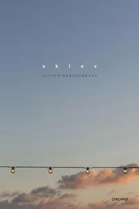 Skies_cover