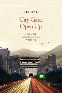 City Gate, Open Up_cover