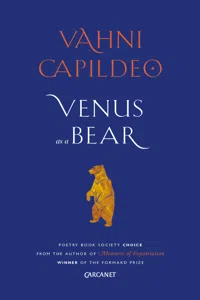 Venus as a Bear_cover