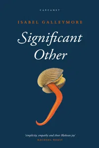Significant Other_cover