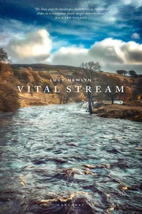 Vital Stream_cover