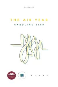 The Air Year_cover