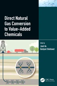 Direct Natural Gas Conversion to Value-Added Chemicals_cover