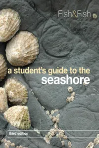 A Student's Guide to the Seashore_cover