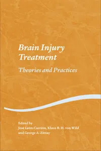 Brain Injury Treatment_cover