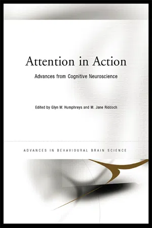 Attention in Action