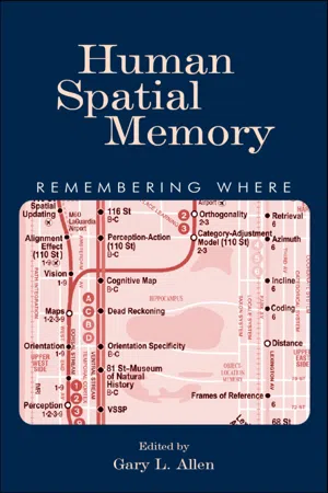 Human Spatial Memory