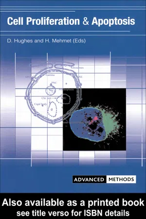 Cell Proliferation and Apoptosis