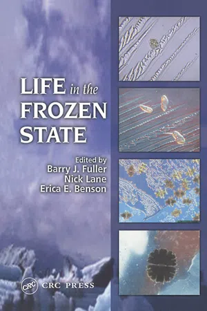 Life in the Frozen State