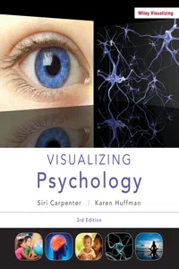 Visualizing Psychology_cover