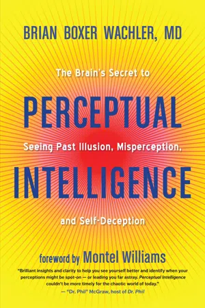 Perceptual Intelligence