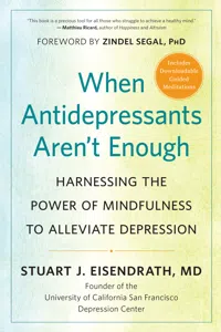 When Antidepressants Aren't Enough_cover