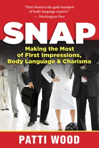Snap_cover