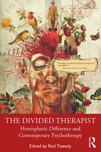 The Divided Therapist_cover