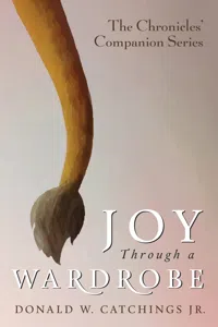 Joy Through a Wardrobe_cover
