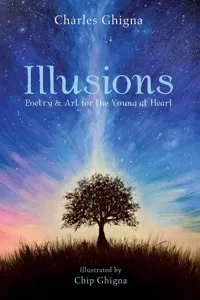 Illusions_cover