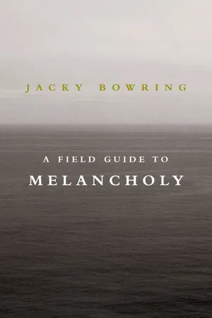 A Field Guide to Melancholy