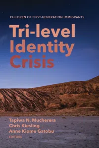 Tri-level Identity Crisis_cover