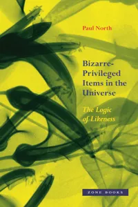 Bizarre-Privileged Items in the Universe_cover