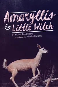 Amaryllis & Little Witch_cover