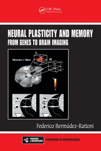 Neural Plasticity and Memory_cover