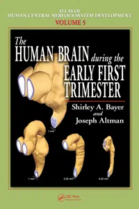The Human Brain During the Early First Trimester_cover