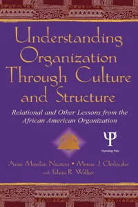 Understanding Organization Through Culture and Structure_cover