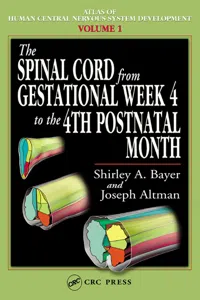 The Spinal Cord from Gestational Week 4 to the 4th Postnatal Month_cover