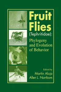 Fruit Flies_cover