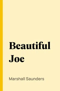 Beautiful Joe_cover