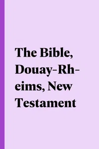 The Bible, Douay-Rheims, New Testament_cover