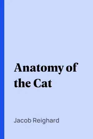 Anatomy of the Cat