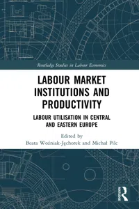 Labour Market Institutions and Productivity_cover