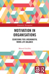 Motivation in Organisations_cover