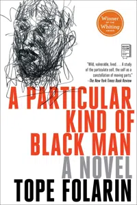 A Particular Kind of Black Man_cover