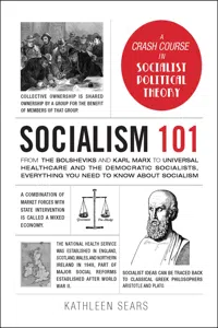 Socialism 101_cover