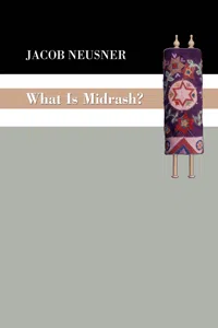 What Is Midrash?_cover