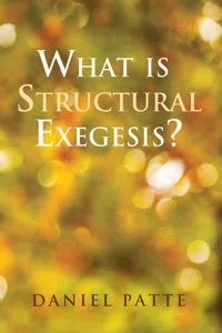 What is Structural Exegesis?_cover