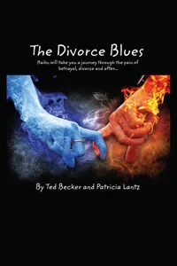 The Divorce Blues_cover