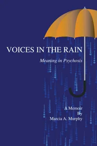 Voices in the Rain_cover