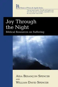 Joy Through the Night_cover