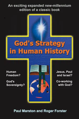 God's Strategy in Human History