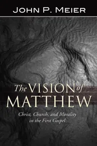 The Vision of Matthew_cover
