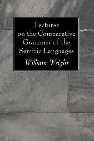 Lectures on the Comparative Grammar of the Semitic Languages