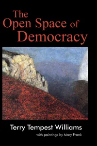 The Open Space of Democracy_cover