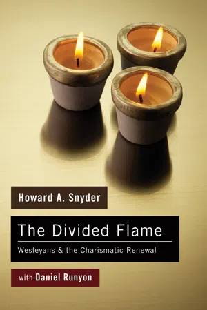 The Divided Flame