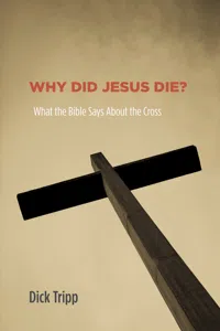 Why Did Jesus Die?_cover