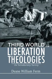 Third World Liberation Theologies_cover