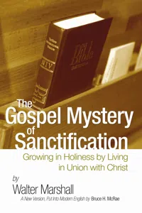 The Gospel Mystery of Sanctification_cover