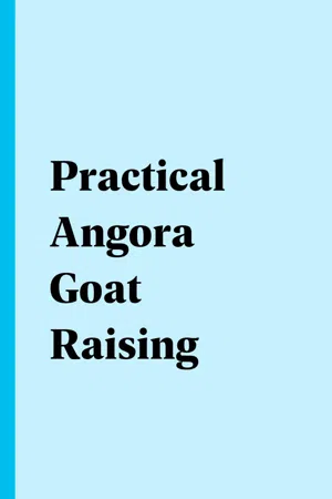 Practical Angora Goat Raising